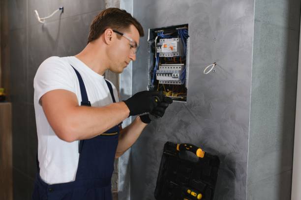 Best Electric Panel Repair  in Woodland Park, CO